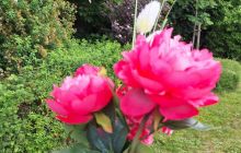 K800_20260606_132645.JPG